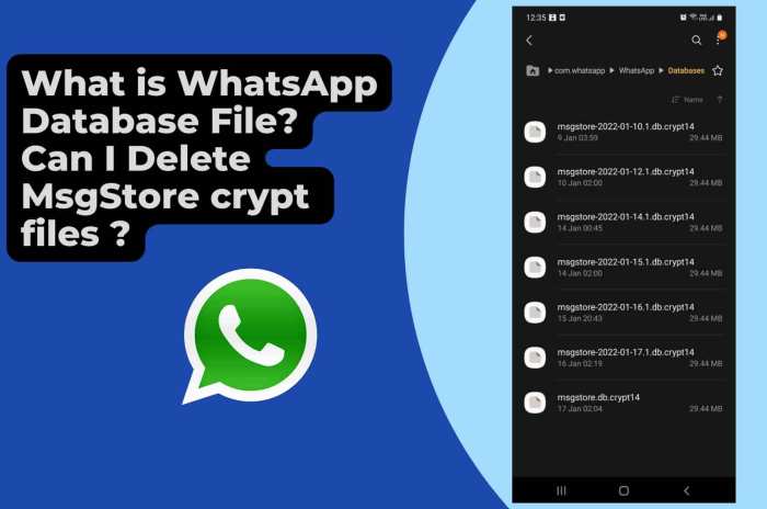 File Msgstore di WhatsApp