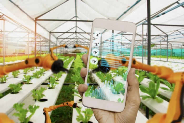 Pengenalan Penggunaan Aplikasi Pertanian Berbasis Teknologi untuk Peningkatan Produktivitas - Cipari Teknologi Pertanian Berbasis Data dan AI