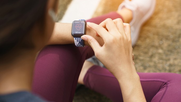 Jual Aksesoris Perangkat Wearable Harga Termurah | Model Terbaru Maret 2023 Jual Aksesoris Perangkat Wearable Harga Termurah | Model Terbaru Maret 2023